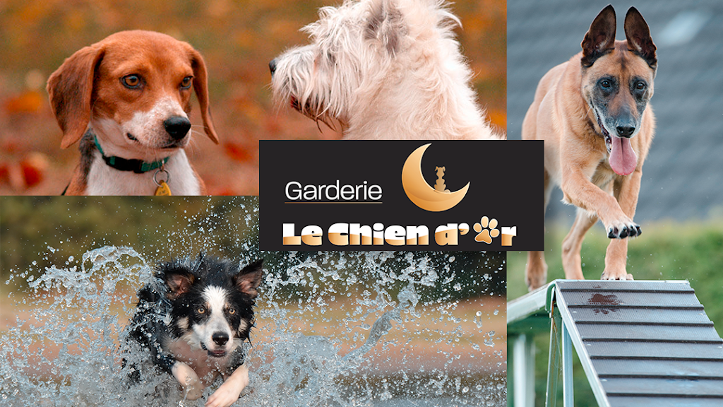 Garderie Le Chien Dor | 7025 35e Av, Saint-Georges, QC G5Y 5C2, Canada | Phone: (418) 225-6002