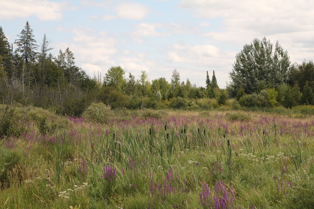 Observation Deck | Trans Canada Trail, Ottawa, ON, Canada