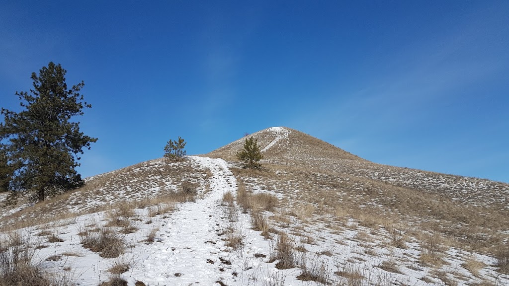 Mount Baldy Trailhead | Mt Baldy Dr, Kelowna, BC V1V 2J2, Canada