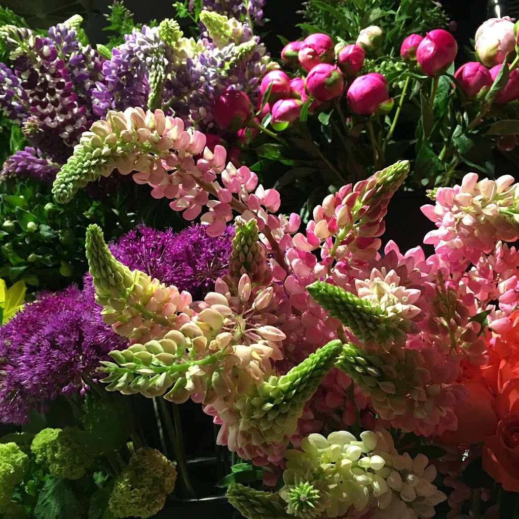 Vanderfleet Flowers Florist | 270 The Kingsway, Etobicoke, ON M9A 3T7, Canada | Phone: (416) 234-0550