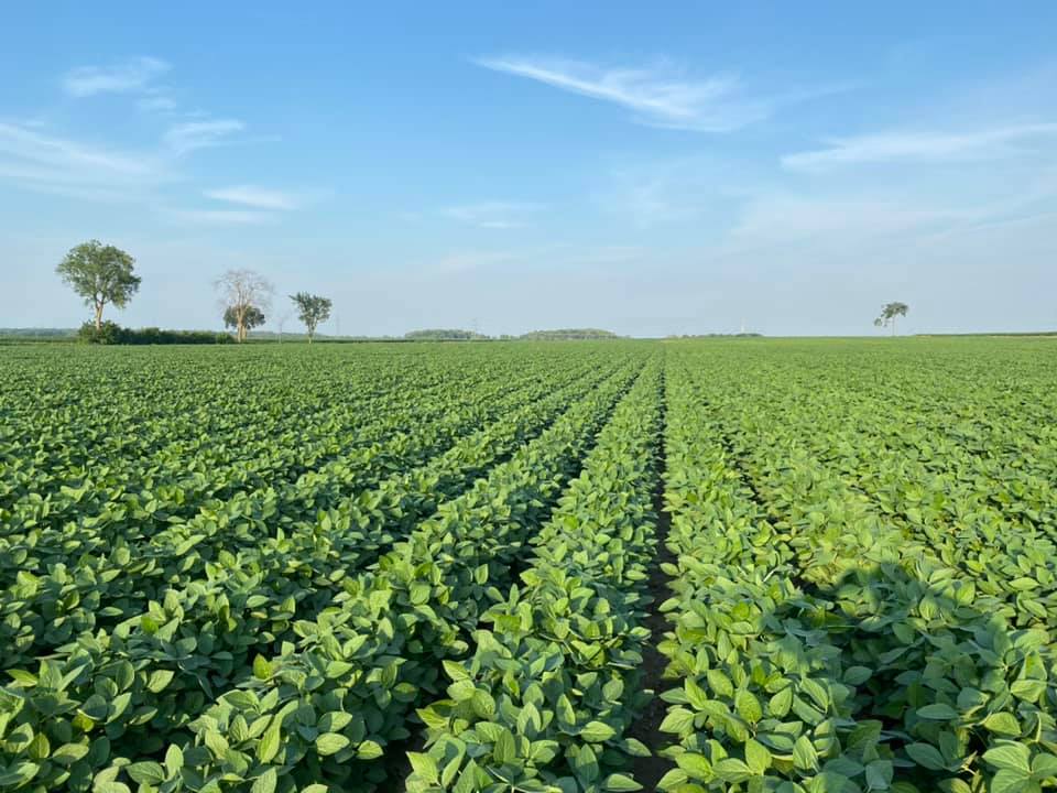 Fermes Demers & Frères Inc. | 488 Chem. de la Cabane-Ronde, LÉpiphanie, QC J5X 3N4, Canada | Phone: (514) 247-4802