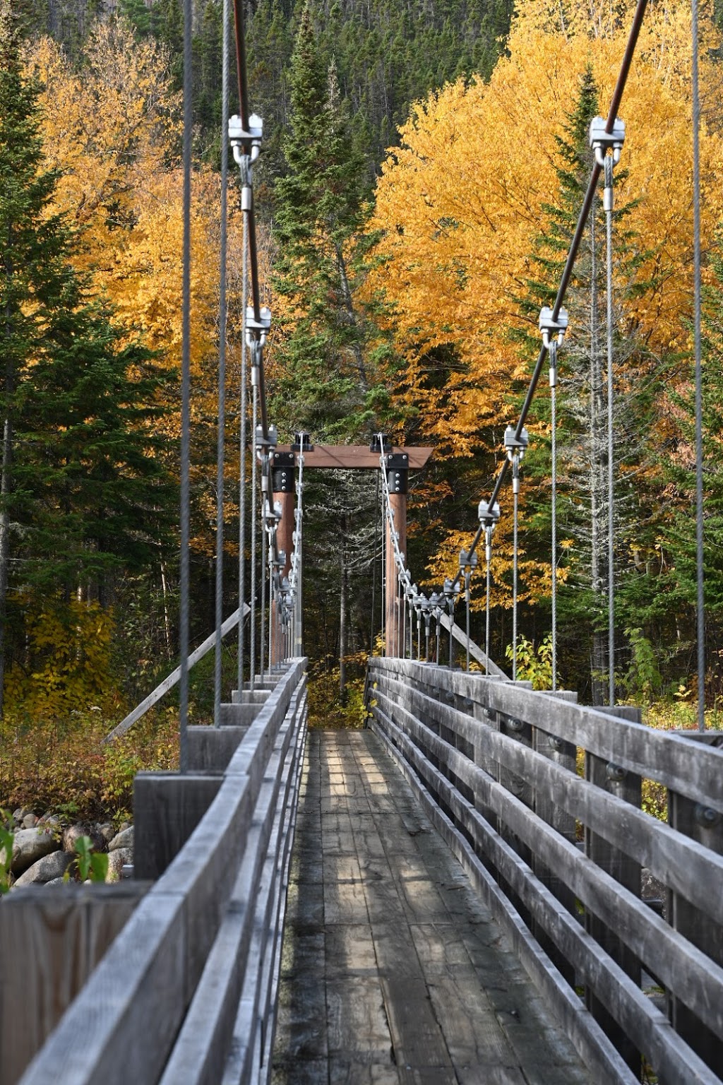 Hautes Gorges De La Rivière Malbaie - Accueil National Park | Mont-Élie, QC G0T 1L0, Canada | Phone: (418) 439-1227