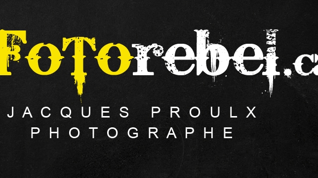 Fotorebel | 1634 Rue de lHospitalité, LAncienne-Lorette, QC G2E 5P7, Canada | Phone: (418) 575-8492