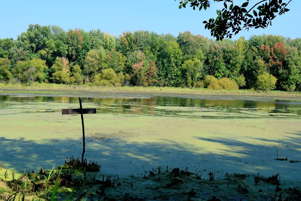 Parc écologique Godefroy | 17105 Boul Bécancour, Bécancour, QC G9H 1A3, Canada