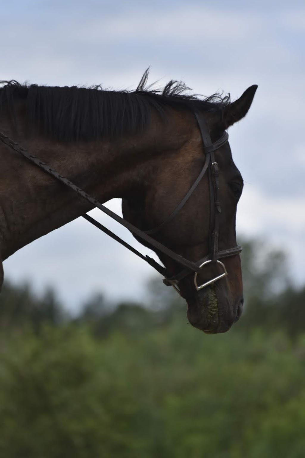 Canyon Creek Farm | 297 Barron Canyon Rd, Pembroke, ON K8A 6W7, Canada | Phone: (613) 312-7197