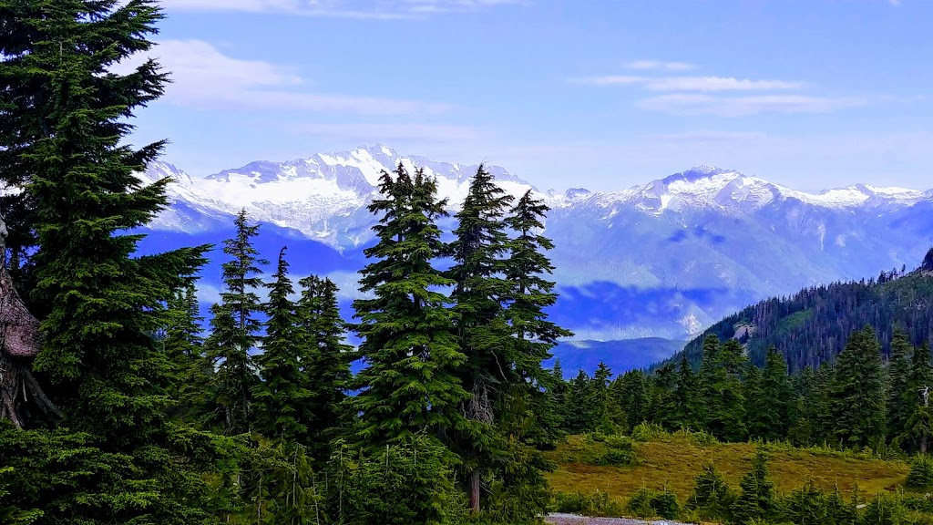 Brohm Ridge Chalet | Squamish-Lillooet D, BC V8B 0P6, Canada