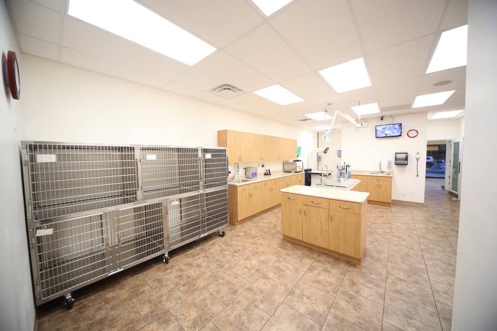 Albany Veterinary Clinic | 16759 127 St NW, Edmonton, AB T6V 0T1, Canada | Phone: (780) 406-3340