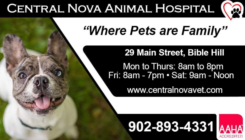 Central Nova Animal Hospital | 29 Main St, Truro, NS B2N 4G5, Canada | Phone: (902) 893-4331