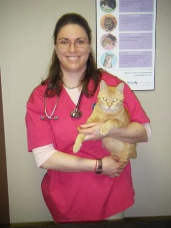 Windrush Veterinary Services | 26 Sixth Concession Road RR #4, Brantford, ON N3T 5L7, Canada | Phone: (519) 449-5080