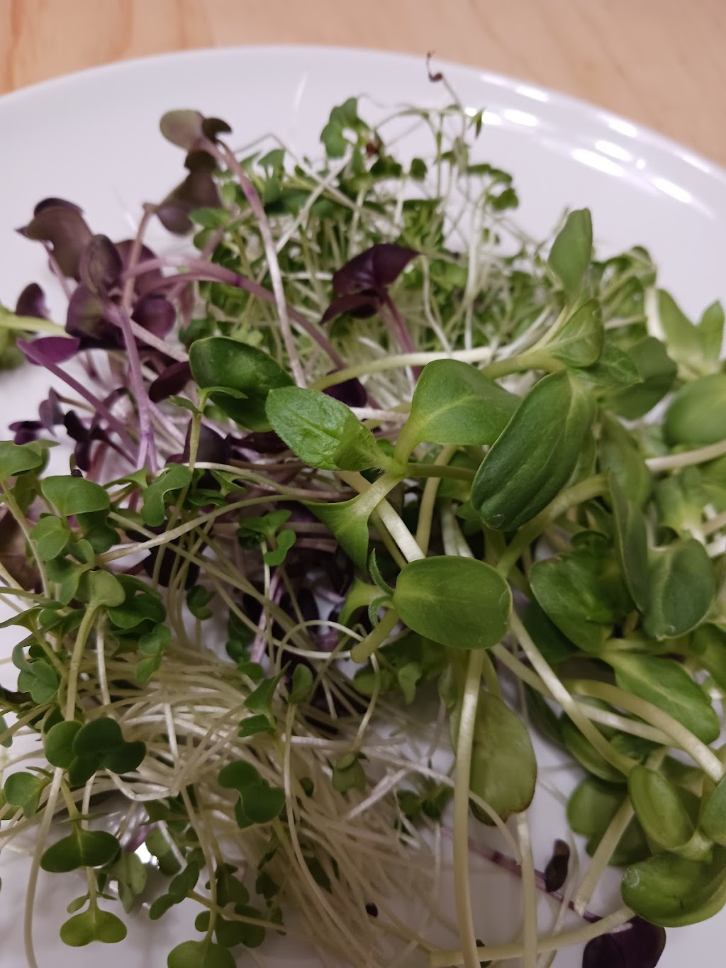 Crow Grown Microgreens | 6715 Hunterview Dr NW, Calgary, AB T2K 5C8, Canada | Phone: (403) 966-7934