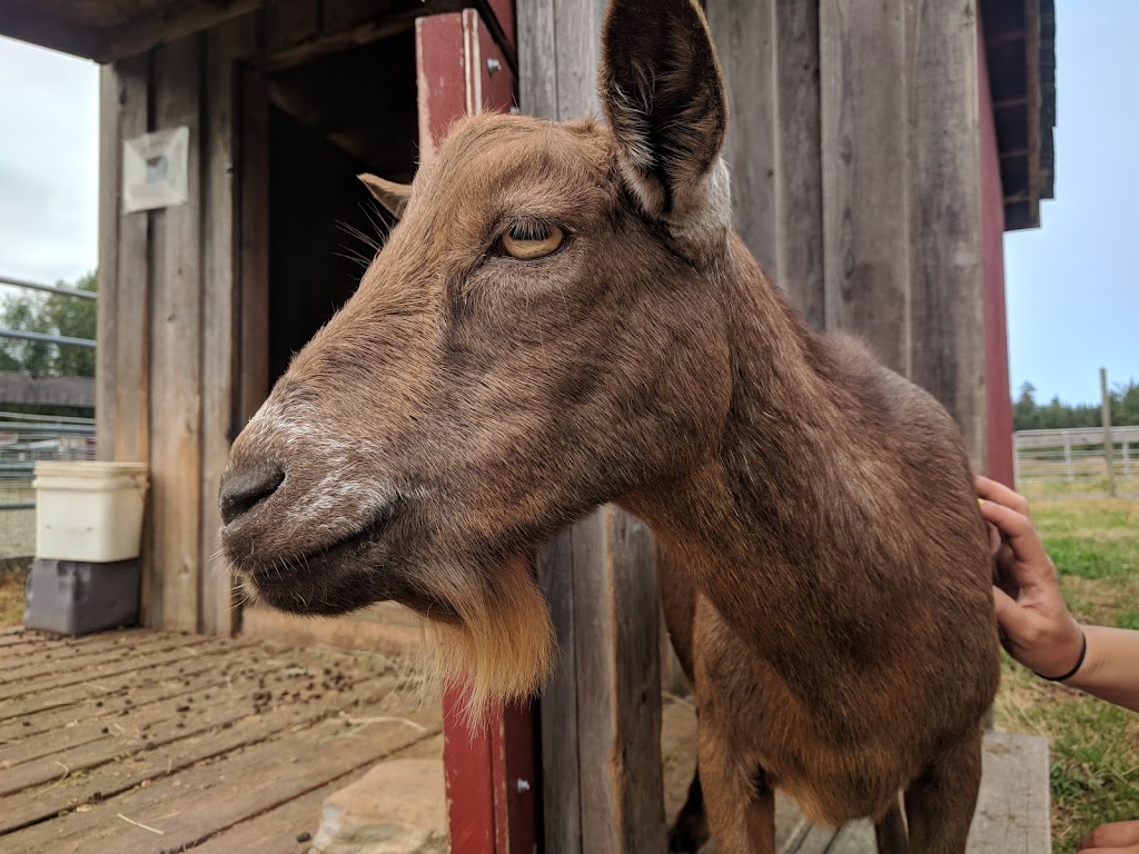 Hamilton Hobby Farm | 2679 Alberni Hwy, Qualicum Beach, BC V9K 1X1, Canada | Phone: (250) 927-1655