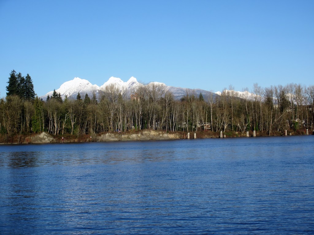 Derby Reach Regional Park | 21801 Allard Crescent, Langley City, BC V1M 3W1, Canada | Phone: (604) 530-4983