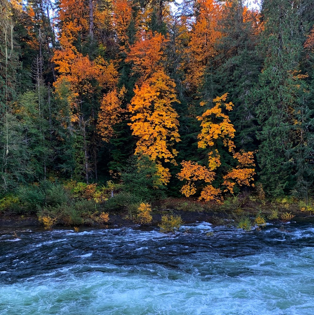 Stamp River Provincial Park | Beaver Creek Rd, Port Alberni, BC, Canada | Phone: (250) 474-1336