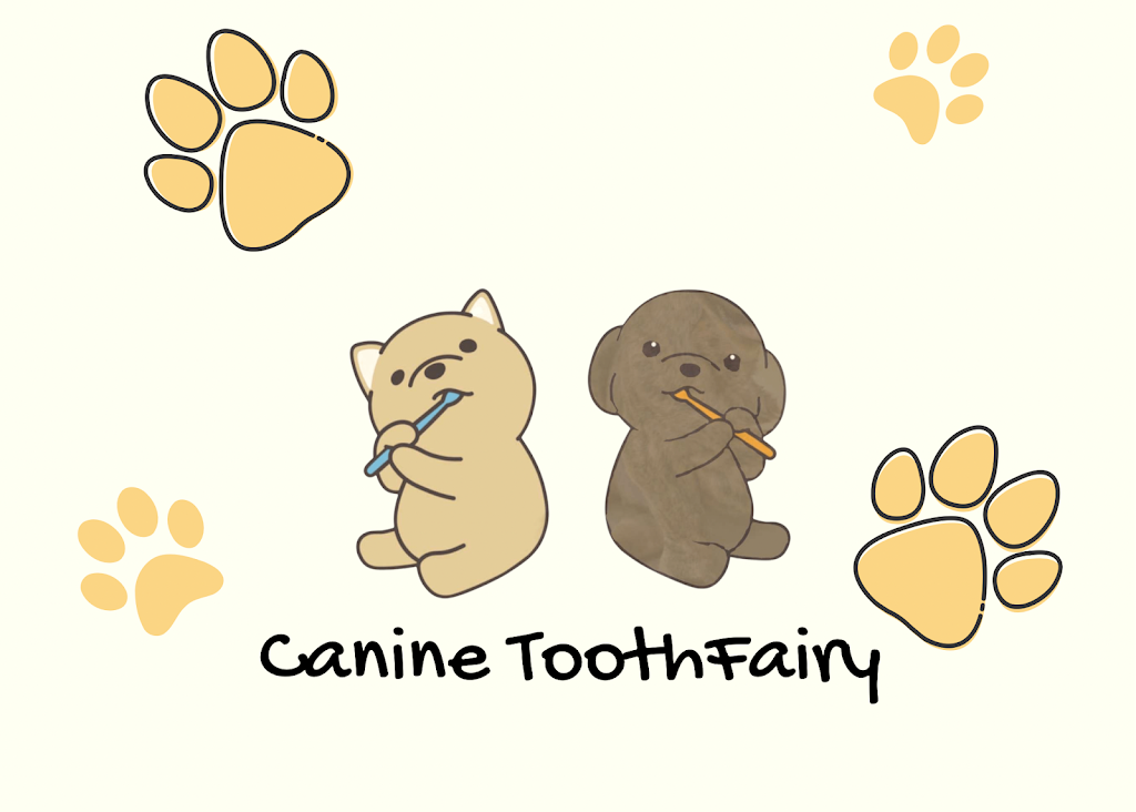 Canine Tooth Fairy | 499 Upper Gage Ave, Hamilton, ON L8V 4J4, Canada | Phone: (647) 575-7210