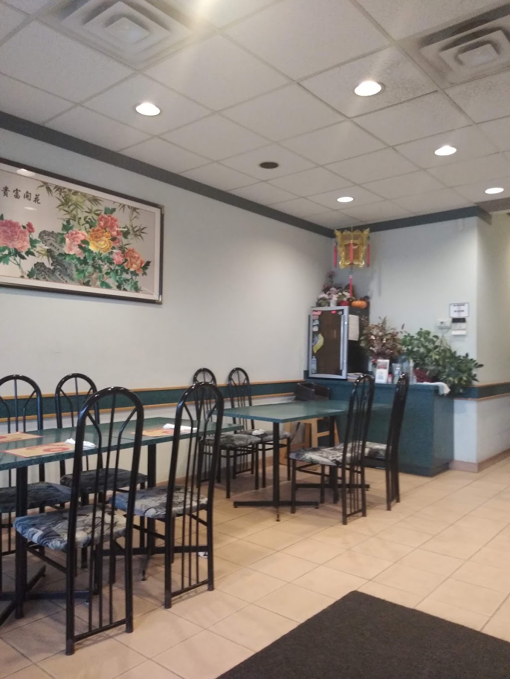 Nan King Chinese Cuisine | 211 Martindale Rd, St. Catharines, ON L2S 0A4, Canada | Phone: (905) 708-1178