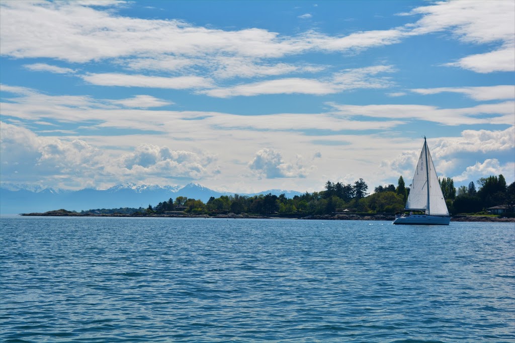 Gyro Beach Board Shop | 3840 Cadboro Bay Rd, Victoria, BC V8N 4G2, Canada | Phone: (778) 433-9200