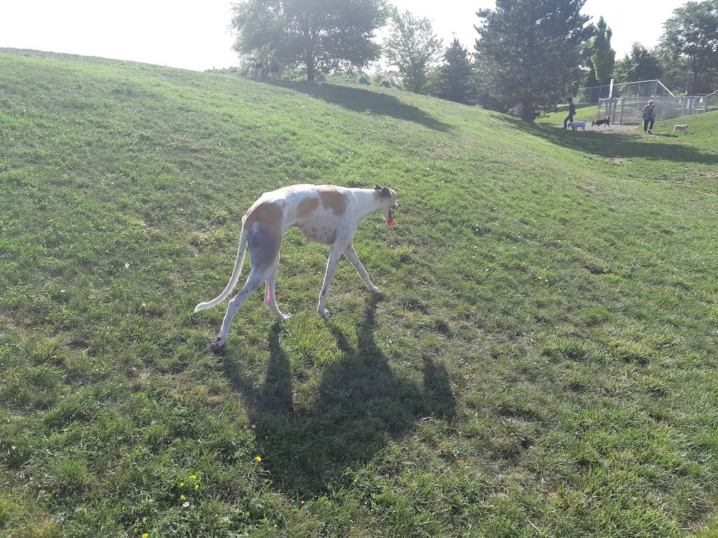 Globe Leash Free Dog Park | Brampton St, Hamilton, ON L8H 6V5, Canada