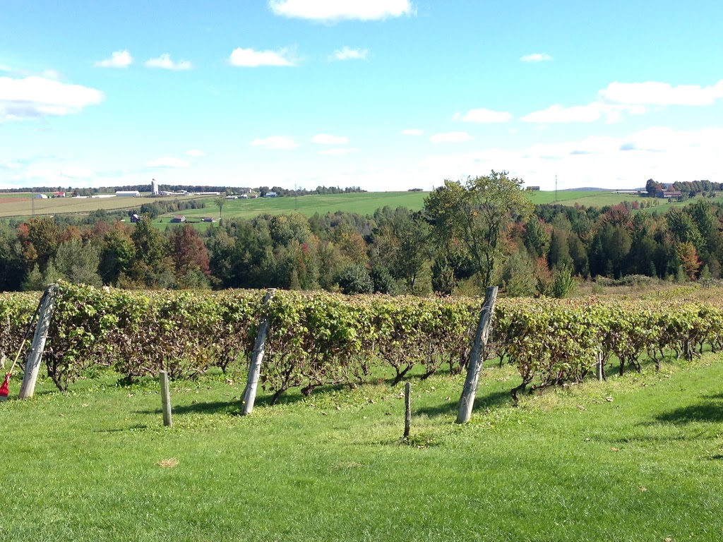 Vignoble Les Côtes Du Gavet | 1690 Chemin de lAqueduc, Tingwick, QC J0A 1L0, Canada | Phone: (819) 850-3391