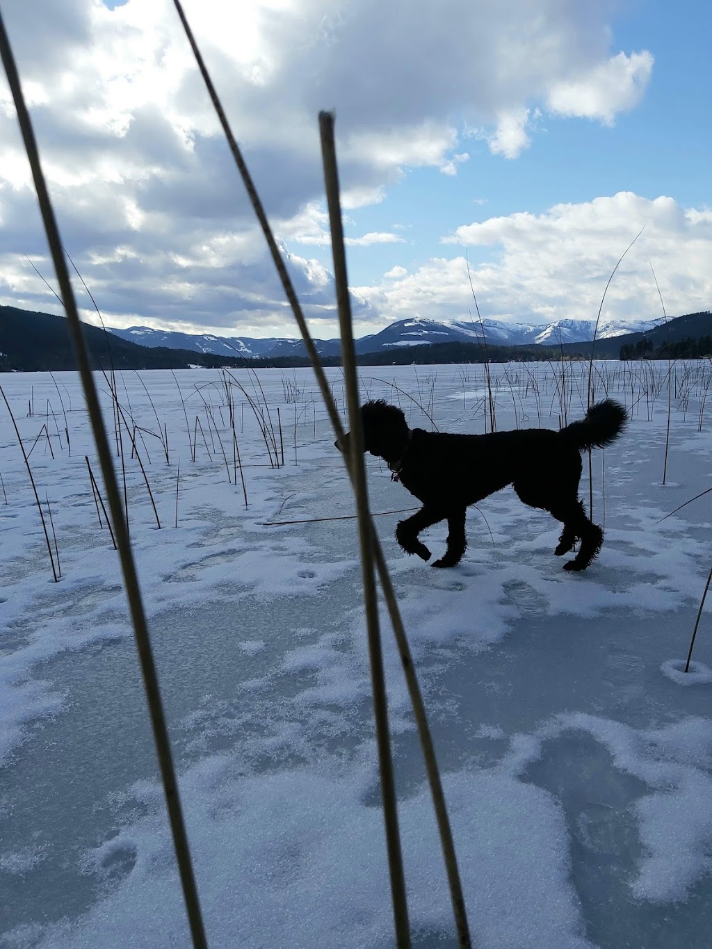 White Lake Provincial Park | Trans Canada Highway, Eagle Bay, BC V0E 1T0, Canada | Phone: (250) 572-5575