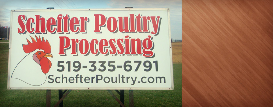 Schefter Poultry Processing | 44783 Harriston Rd, Gorrie, ON N0G 1X0, Canada | Phone: (519) 335-6791