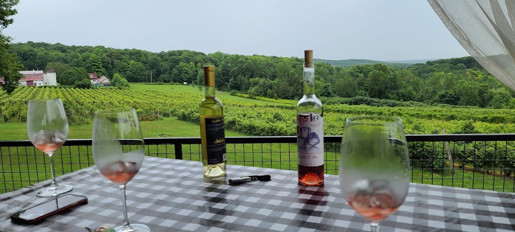 Vignoble dOka | 300 Rang St Ambroise, Oka, QC J0N 1E0, Canada | Phone: (514) 791-7020