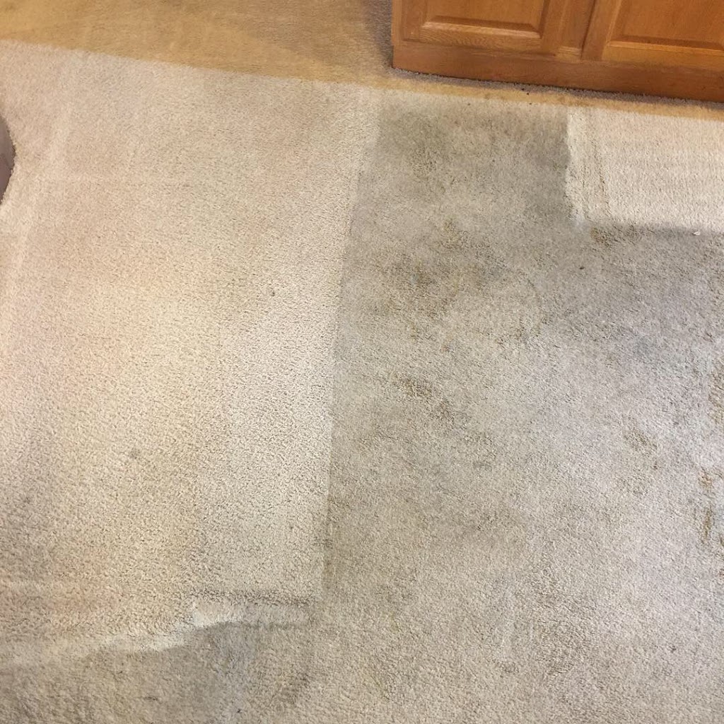 Pristine Steam Carpet Cleaning | 2140 Love Rd, Grand Island, NY 14072, USA | Phone: (716) 867-1143