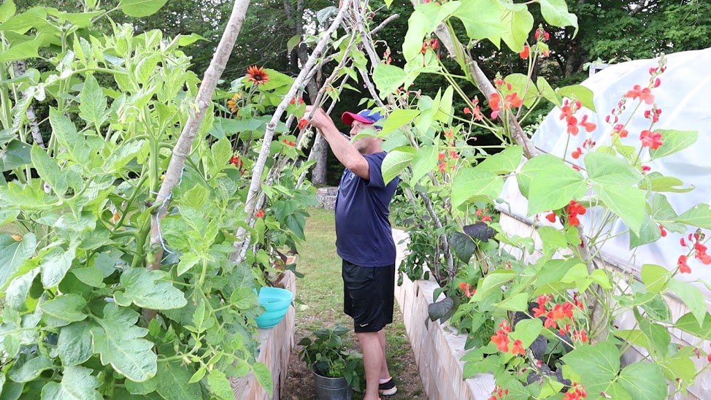 The Optimistic Gardener | 71 Hubbards Estates Rd, Hubbards, NS B0J 1T0, Canada | Phone: (902) 403-1953