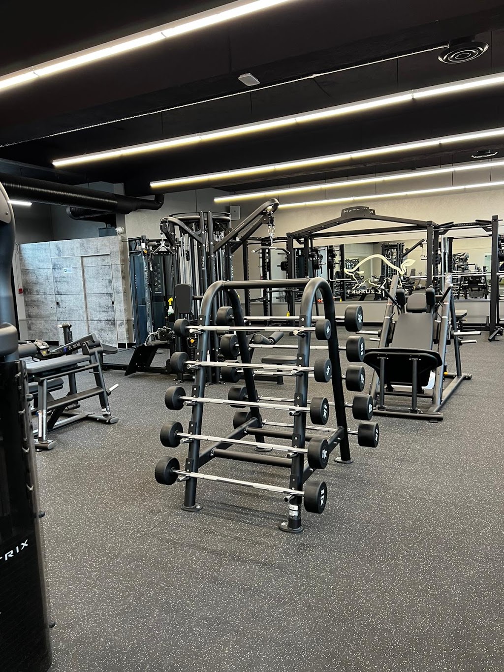 Taurus Fitness | 1763 Bellevue Ave, West Vancouver, BC V7V 1A8, Canada | Phone: (604) 281-2881