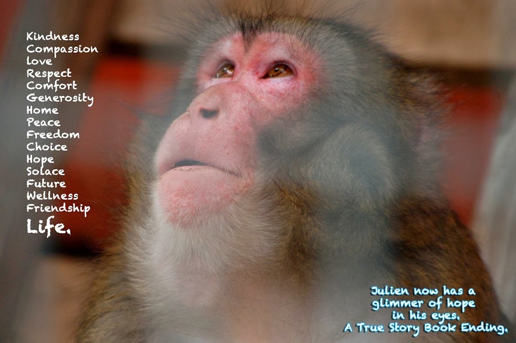 Story Book Farm Primate Sanctuary | 2315 Concession Rd 10, Sunderland, ON L0C 1H0, Canada | Phone: (416) 816-4800