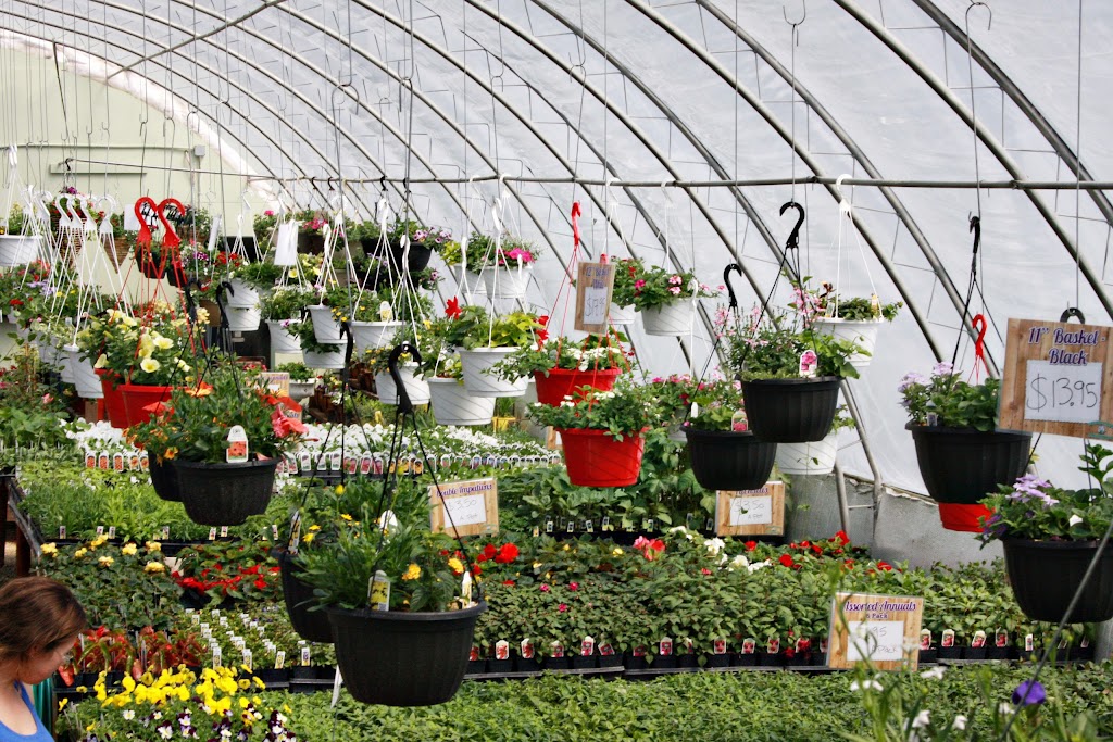 Golden Plains Greenhouse | 43 Hochstadt Dr, Kleefeld, MB R0A 0V0, Canada | Phone: (204) 377-4480