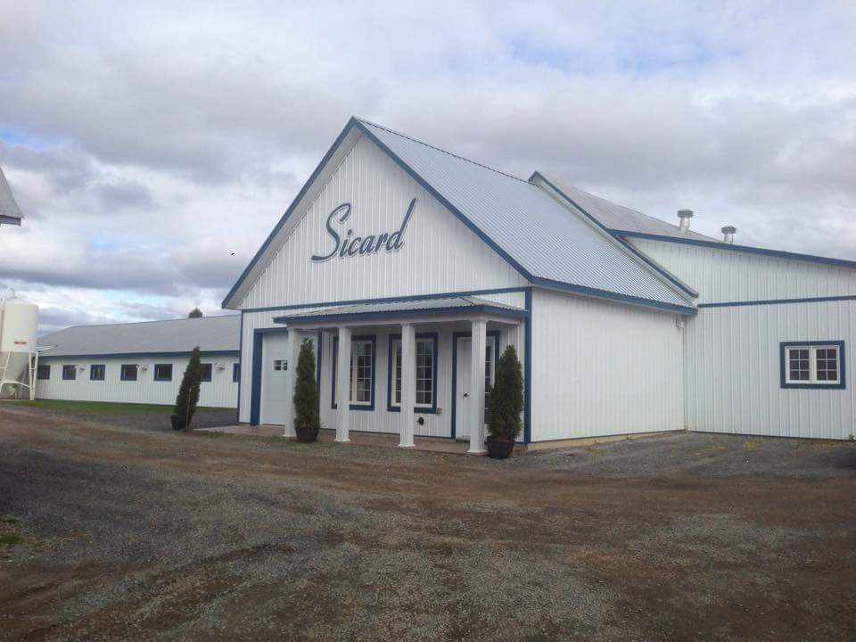 Ferme Yvon Sicard | 241 Rte Gagné, Saint-Justin, QC J0K 2V0, Canada | Phone: (819) 244-4503