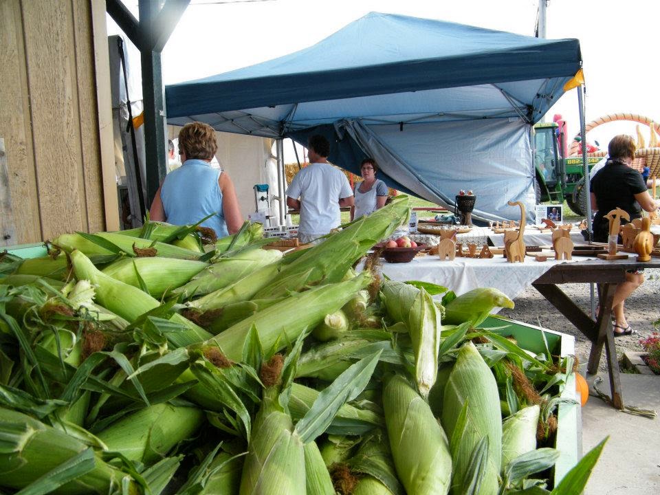 Potager Yvanhoé | 550 Route Campagna, Saint-Henri, QC G0R 3E0, Canada | Phone: (418) 882-2342