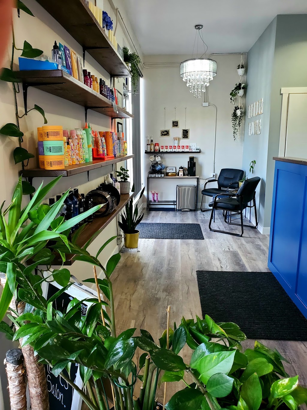 Rundle Roots Salon | 3407 107 Ave, Edmonton, AB T5W 0C8, Canada | Phone: (780) 818-2479