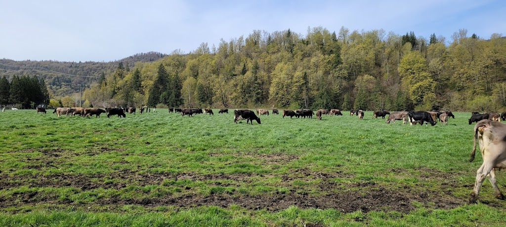 Creekside Cheese + Creamery | 3990 Chaplin Rd, Agassiz, BC V0M 1A2, Canada | Phone: (604) 796-8485