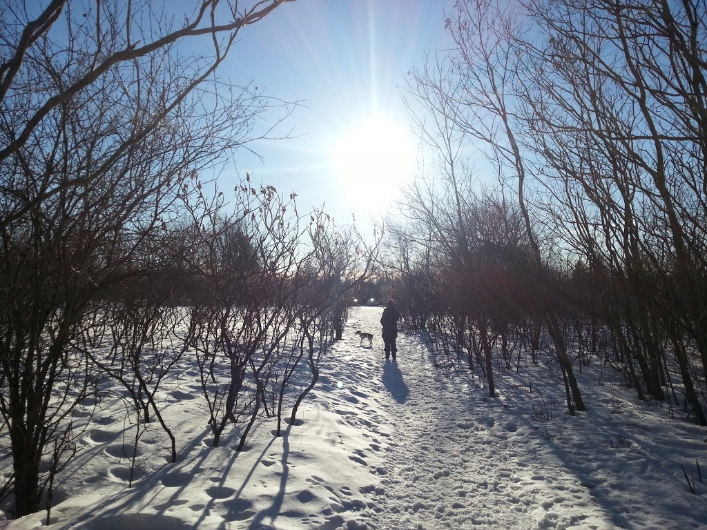 Trent University Nature Areas | 801 University Rd, Peterborough, ON K9J 6Y1, Canada | Phone: (705) 748-1011