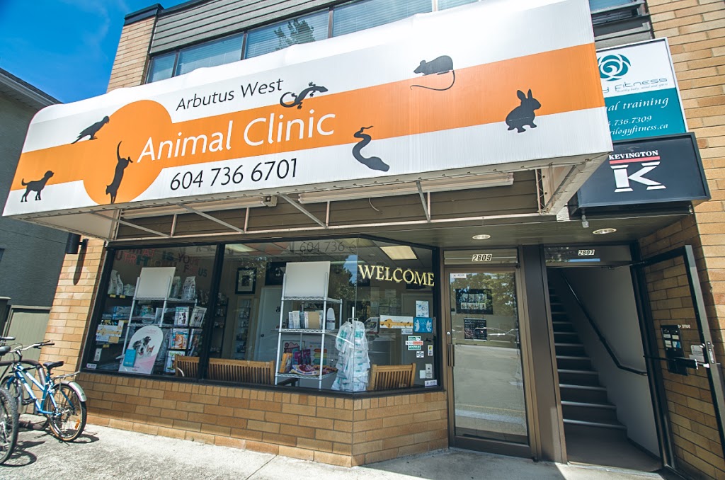Arbutus West Animal Clinic | 2809 W 16th Ave, Vancouver, BC V6K 3C5, Canada | Phone: (604) 736-6701