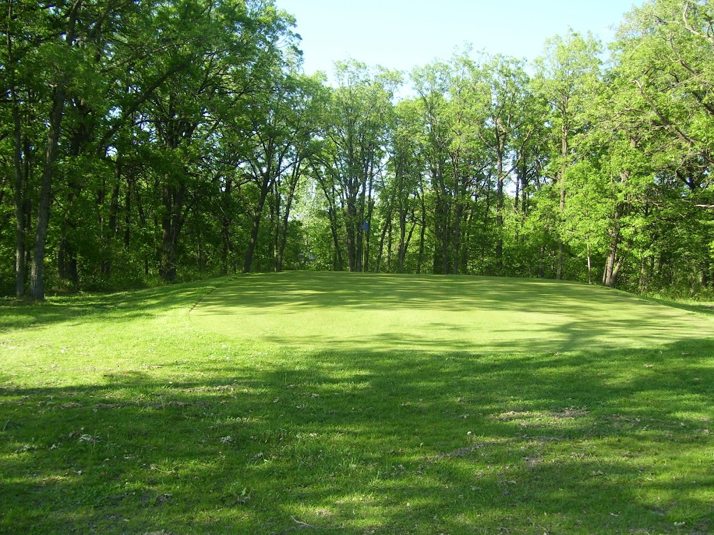 Kyle Memorial Golf Course | 164 Johnston Ave, Dominion City, MB R0A 0H0, Canada | Phone: (204) 427-2376