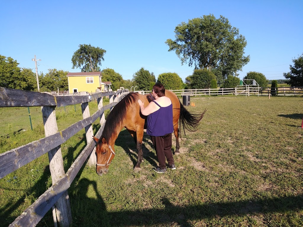 Ecurie Black River Ranch | 852 Rang de la Rivière S, Sainte-Cécile-de-Milton, QC J0E 2C0, Canada | Phone: (514) 592-6571