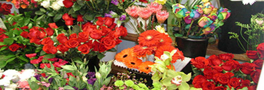 Beaconsfield Flora - local florist at Montreal West Island | 40F Boulevard Saint-Charles, Beaconsfield, QC H9W 5Z6, Canada | Phone: (514) 694-1648