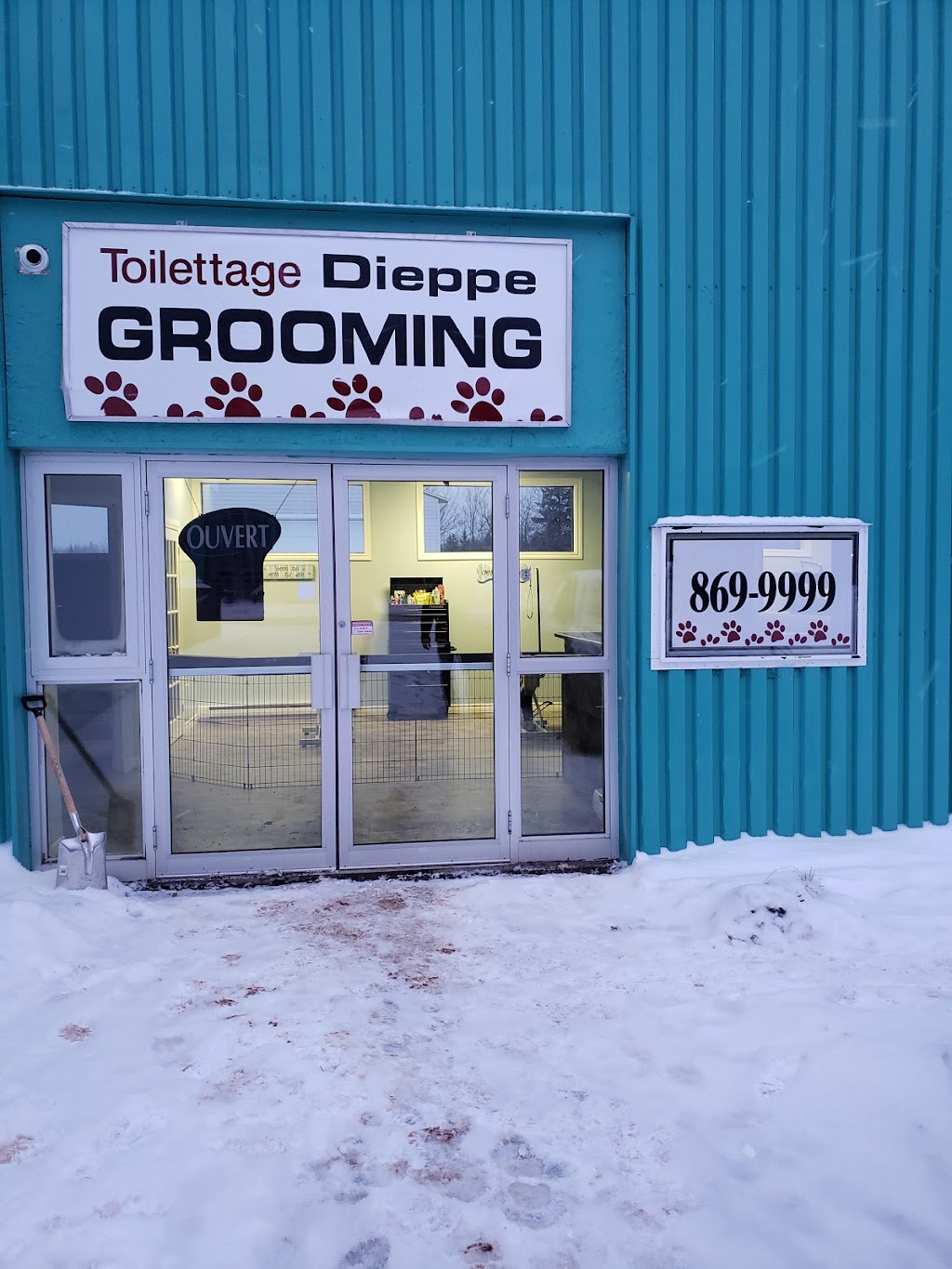 Toilettage Dieppe Dog and Cat Grooming | 675 Babin St, Dieppe, NB E1A 5M7, Canada | Phone: (506) 869-9999