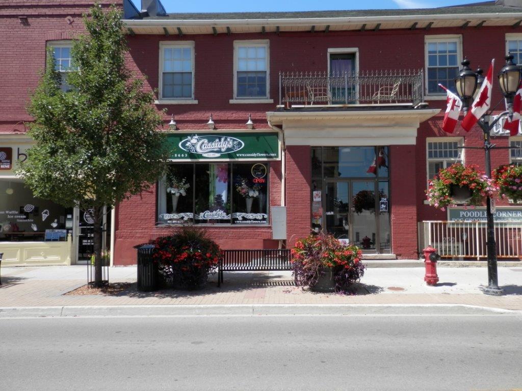 Cassidys Flowers & Gifts | 15 Main St S, Newmarket, ON L3Y 3Y1, Canada | Phone: (905) 895-8663
