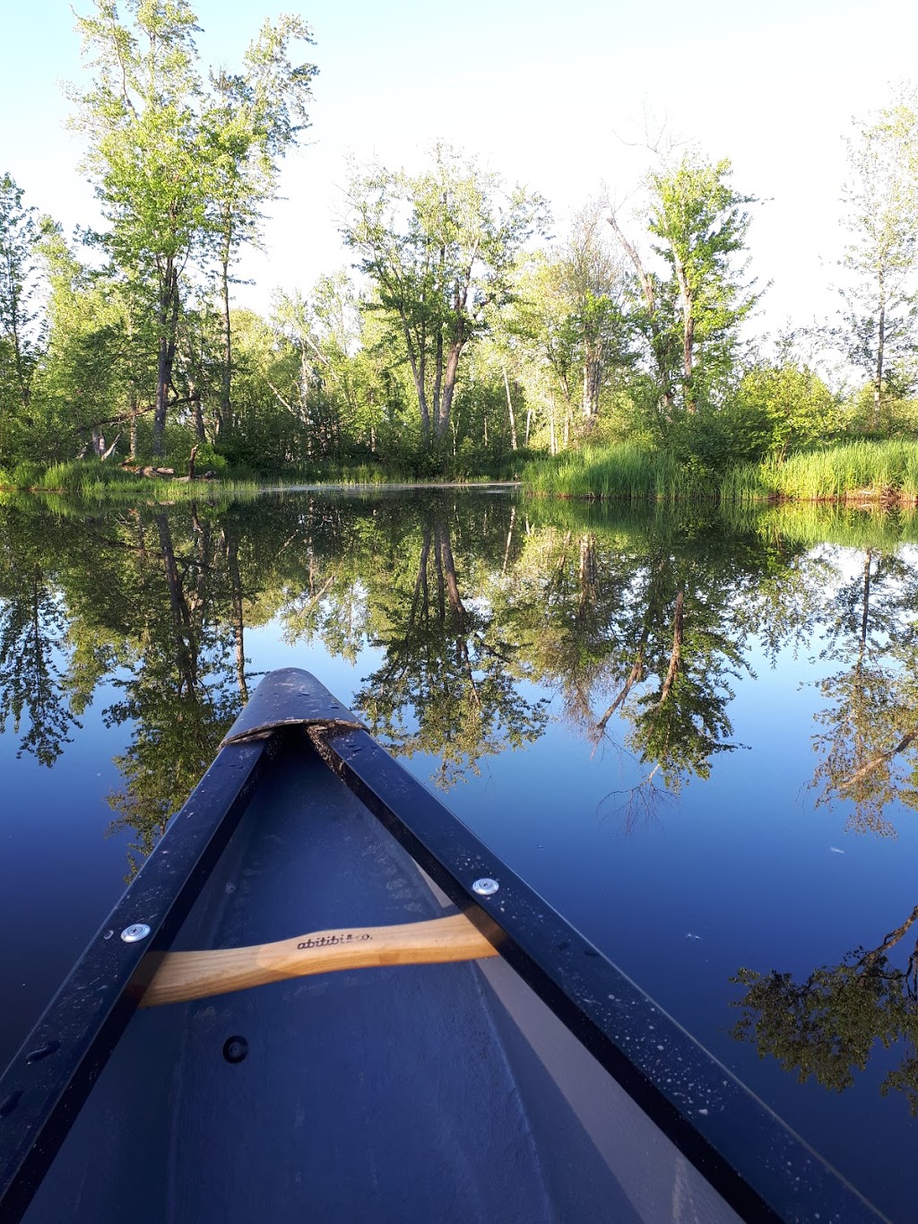 Réserve naturelle Quilliams-Durrull | Lac-Brome, QC J0E 1R0, Canada