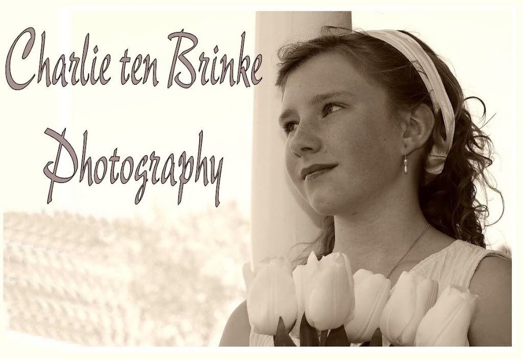 Charlie ten Brinke Photography | 2322 Rte 4 Brierly Brook Road, Antigonish, NS B2G 2K9, Canada | Phone: (902) 863-3020