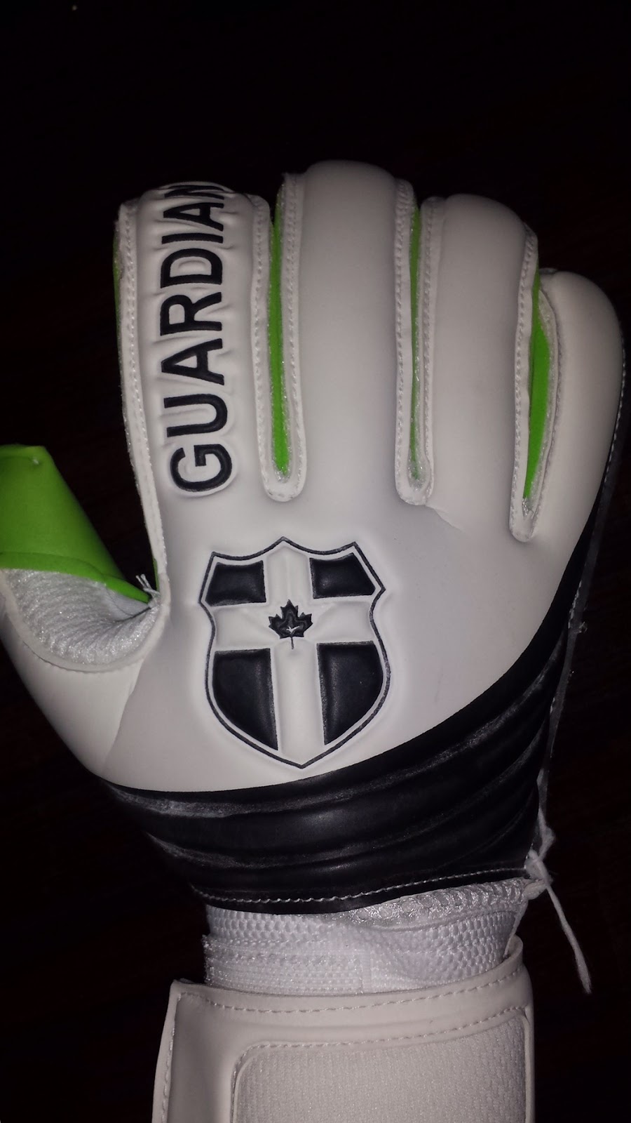 The Guardian Goalkeeper Academy | 1370 Wallace Rd #5, Oakville, ON L6L 2Y2, Canada | Phone: (289) 813-0340