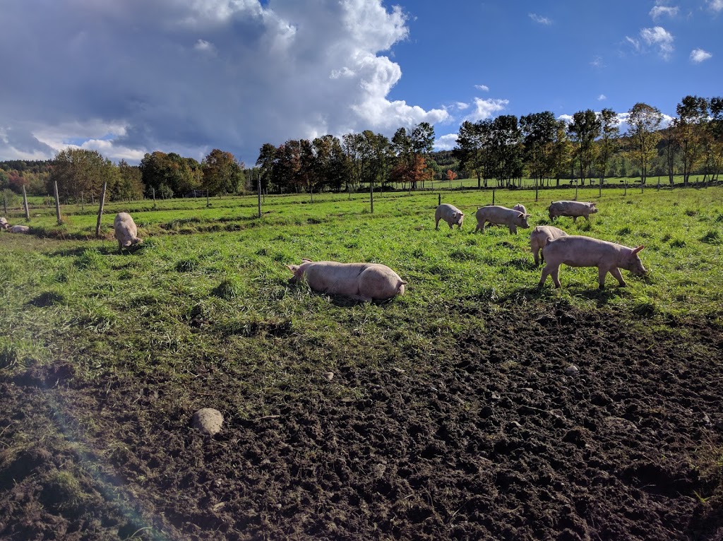 Ferme des Hautes Terres | Arthabaska, Quebec, 801 Rang 8 et 9, Saint-Rémi-de-Tingwick, QC J0A 1K0, Canada | Phone: (819) 359-2900