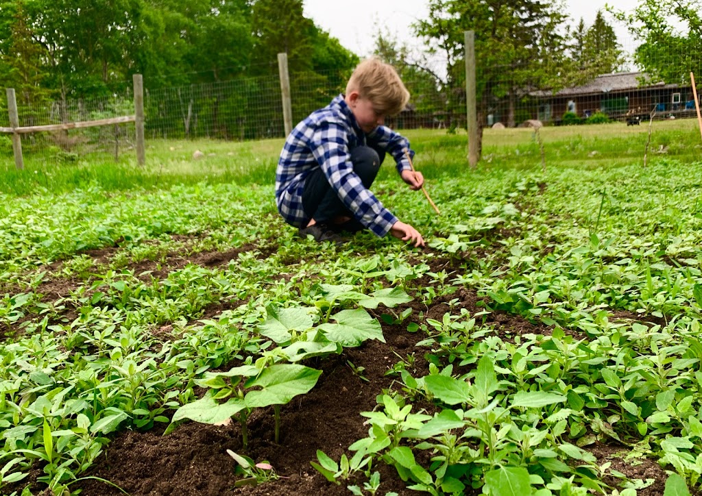 Stony Hill Farm | 26042 Hillside Rd 67N, Oakbank, MB R5R 0A1, Canada | Phone: (431) 777-5242