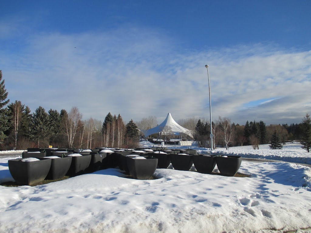 Silver Skate Festival Society | 10212 112 St NW, Edmonton, AB T5K 1M4, Canada | Phone: (780) 488-1960