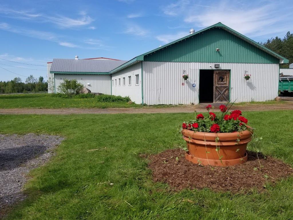 Les Écuries MapleRidge Stables inc | 52 Chem. Saint-Georges, Rigaud, QC J0P 1P0, Canada | Phone: (450) 458-0520