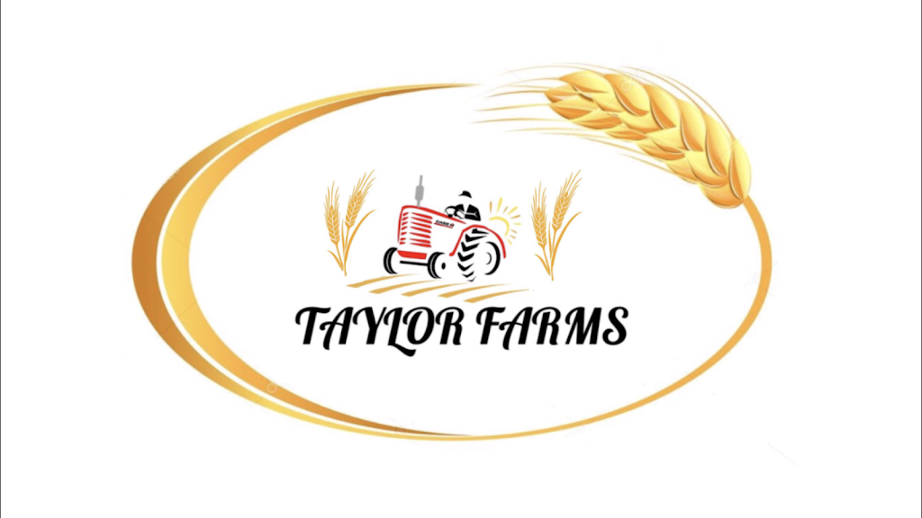 Taylor Farms | RR1, Carstairs, AB T0M 0N0, Canada | Phone: (587) 223-4297