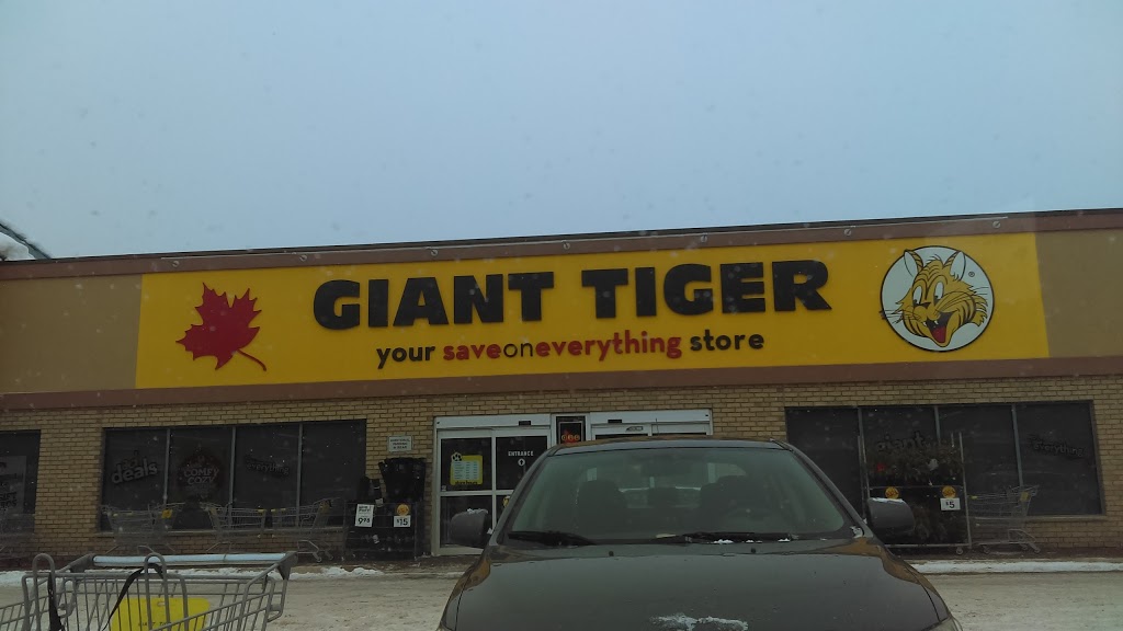 Giant Tiger | 3 Massey St #4, Angus, ON L0M 1B0, Canada | Phone: (705) 424-1890